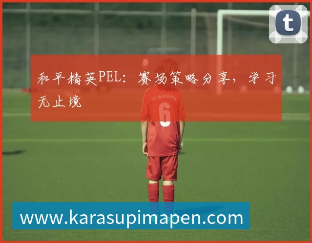 和平精英PEL：赛场策略分享，学习无止境