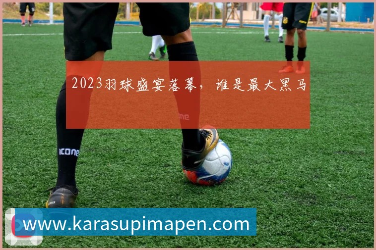 2023羽球盛宴落幕,谁是最大黑马
